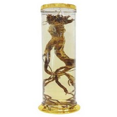 담금주 유리병 인공 20호 일자형, 20L, 1개