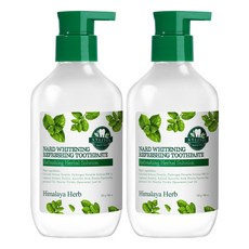 NARD 亮白清新按壓式牙膏, 240g, 2瓶