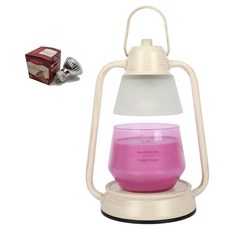 Yankee Candle Studio Beacon系列收藏蠟燭 + 融蠟燈 + 燈泡 2入組, 香檳(融蠟燈), 野生蘭花