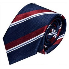 THOMAS VAILEY 時尚領帶 奧克蘭