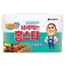 홈스타 냄새먹는 냉장고용 탈취제 유칼립투스 본품, 420g, 1개