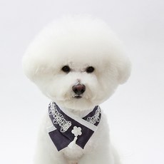 ITS DOG 寵物水仙韓服斗篷, 老鼠顏色