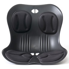 스마트 그랜드 허리 등받이, 블랙