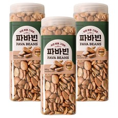 식물성 단백질 파바빈, 900g, 3개