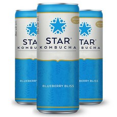 srarkombucha 藍莓Bliss, 250ml, 3個