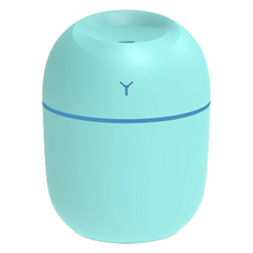 꼼꼼물 휴대용 USB 미니가습기 리틀Y, MULTI, 그린