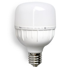 Gunsik ECO LED 燈泡 E39 圓筒 高瓦數 T型燈 保安燈 40W, 1個, 日光色