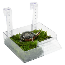 peyto 陽台型日光浴烏龜陸地 小, 202g, 1個