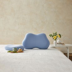 Modern House 柔軟感蝴蝶型記憶棉枕頭專用套, 藍色