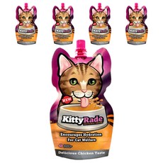 도기레이드 고양이 키티레이드 액상 영양제, 장건강/유산균, 250ml, 5개