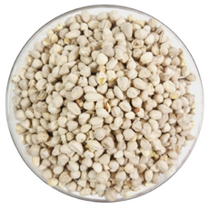 모링가씨, 400g, 1개