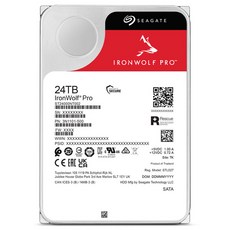 씨게이트 IronWolf Pro HDD, 24TB, ST24000NT002