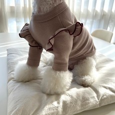 寵物酒紅色荷葉邊T恤, 米色, 1個