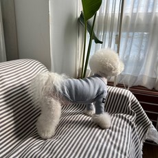 MAGDOG 狗狗 Poter Blue T恤, 1個, 淺藍色