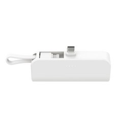 애니젠 도킹형 듀얼 미니 일체형 보조배터리 메인C타입 + 보조 8핀, AP-D1004-CHL, 화이트