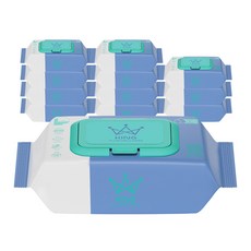 킹물티슈 소프트터치 저자극 비데물티슈 캡형, 60g, 20개입, 12개