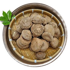 그린그로브 국내산 건표고버섯, 100g, 1개