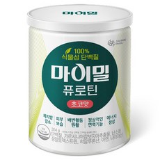 대상웰라이프 마이밀 프로틴 초코맛, 304g, 1개