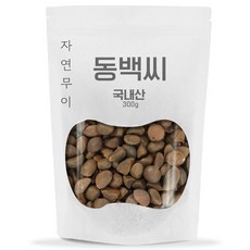 자연무이 동백씨 동백씨차, 300g, 1개