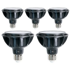 聚光型 LED 燈泡 PAR30 15W, 晝光色, 5個