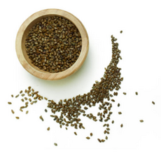 햇살팜 결명자, 600g, 1개