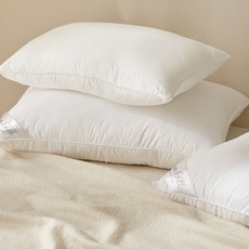 Modern House ON好眠蓬鬆枕芯 FP1122010, 1個, 白色