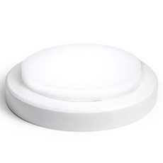 LED 스마트 고정형 직부등 15W, 주광색, 1개