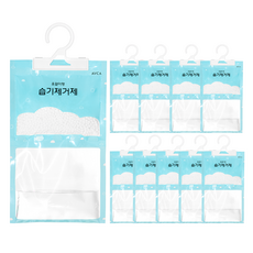 아브카 초슬림 옷걸이형 습기제거제 본품, 100g, 10개