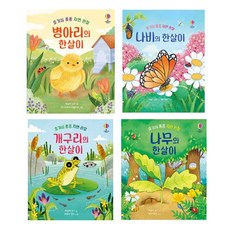 USBORNE 好奇心滿滿自然觀察系列套書 全4冊, 1套