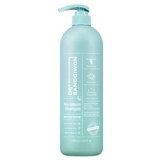 닥터방기원 노세범 샴푸, 1L, 1개