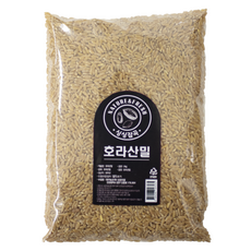 싱싱잡곡 호라산밀, 2kg, 1개