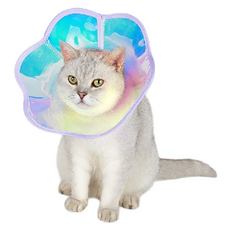 PASTEL PET 寵物花朵雷射防舔頸圈, 1個, 紫色