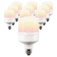 비츠온 원하 T 벌브 LED 메가맨 전구 화이트 18W YTT80Z1-182630, 전구색, 10개