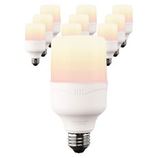 비츠온 원하 T 벌브 LED 메가맨 전구 화이트 15W YTT65Z1-152630, 전구색, 10개