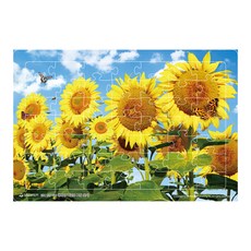 提升認知拼圖 向日葵找相同圖案, 編輯部, SaeSaem出版社