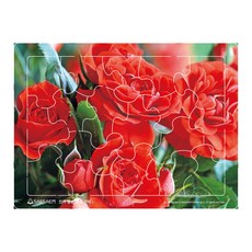 인지향상퍼즐 장미, 새샘