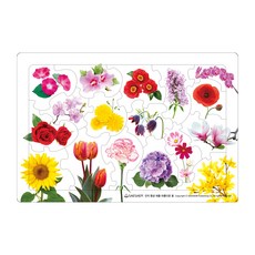 認知提升拼圖 美麗的花, 編輯部, 新泉圖書出版