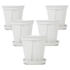 월드가드닝 다용도 뉴롱 슬릿 화분 5p + 받침 5p 세트, 밀키화이트, 1세트