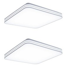 베이직 LED 방등 50W 6500K 2p, 주광색(화이트)