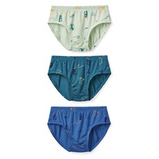 chummychummy 男童透氣HSC天絲莫代爾內褲3件組 04