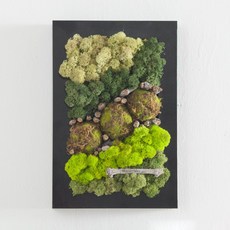 flowertree 天然黑色斯堪地亞相框組 30cm, 混合色