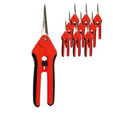 Smato紅色水果剪刀SM-GS7 C1015160, 10個