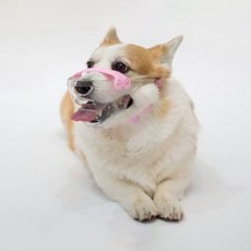 LUVLIV 狗狗椰子造型嘴套 L, 粉紅色, 1個