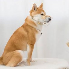 LUVLIV 狗狗椰子嘴套 L, 淺褐色, 1個