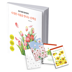 realbooks 花朵與果實 著色本 明信片圖案套組：遇見溫柔植物的散步小徑, 朴明珠(Moso)