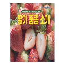 딸기 품종 소개, 이인하, 진한엠앤비