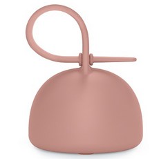 스와비넥스 컬러 에센스 실리콘 쪽쪽이 케이스, 누디핑크, 누디핑크, 1개