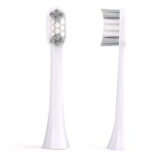 제스파 듀얼덴 클리덴 건조살균 음파전동칫솔 전용 칫솔모, ZPL1085N, 2개