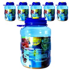 청매실용기 다용도 페트병 + 캡 세트, 10L, 6개