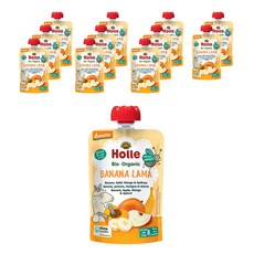 홀레 유아용 유기농 파우치 과일퓨레 바나나 라마, 혼합맛(바나나/사과/망고/살구), 100g, 12개